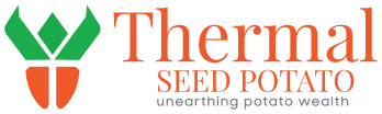 Thermal Seed Potato — unearthing potato wealth